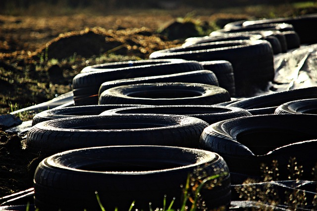 Research Progress and Development Trends Of Degradable Rubber Technology Research Progress and Development Trends Of Degradable Rubber Technology