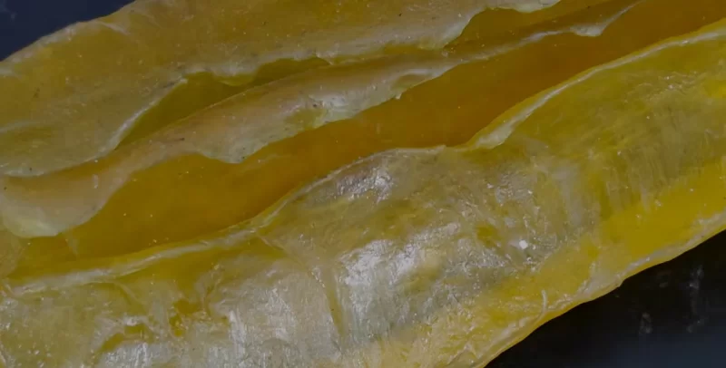 2. NR (Natural Rubber): Nature’s Elastic Treasure 2. NR (Natural Rubber): Nature’s Elastic Treasure
